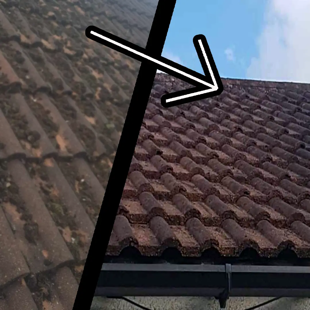 Roof Cleaning Services